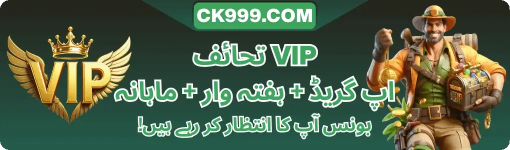 1955966853243428866.webp